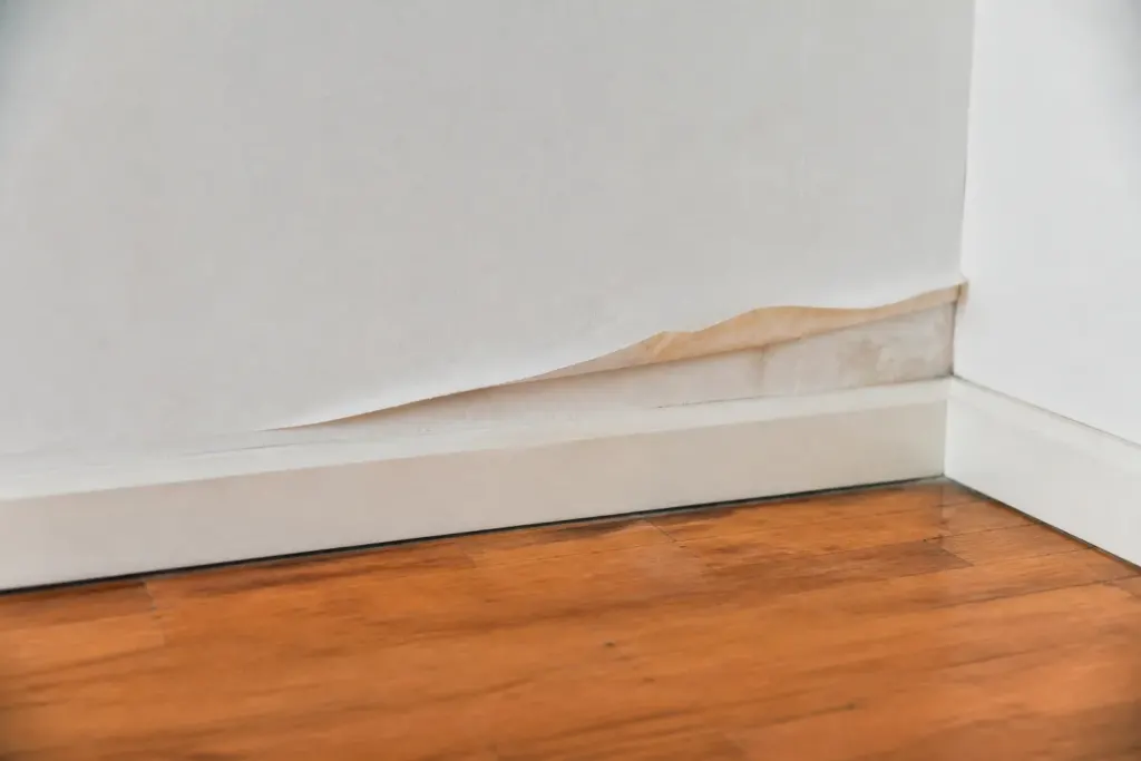 Mur blanc avec bande de tapisserie soulevee pres plinthe